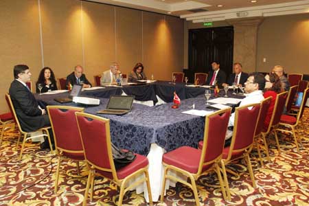 Reunión comité Regional Area Andina